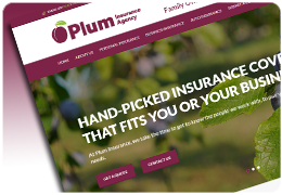 Plum Insurance Agency