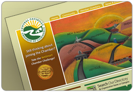 Central Catskills Chamber Website