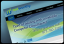 MSP Website & Marketing - Networthy Systems in Beaumont, TX