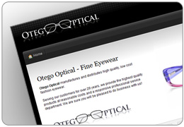 Otego Optical Website Design
