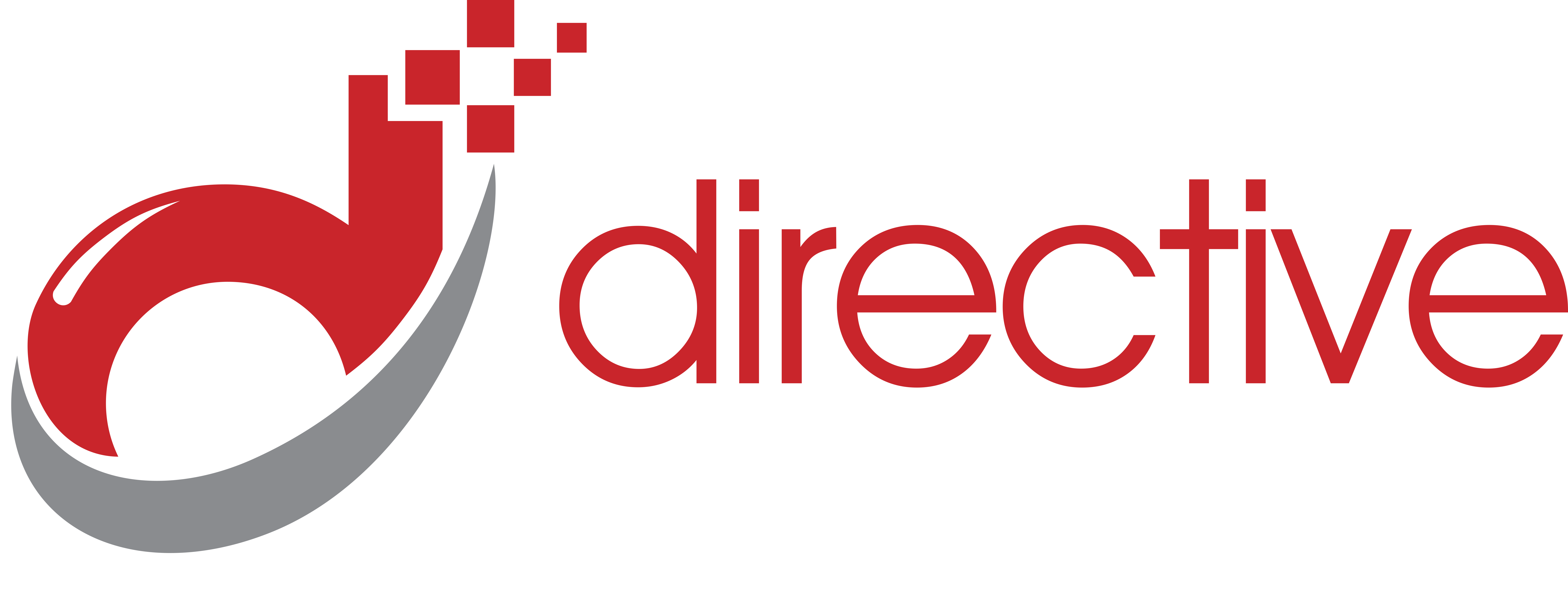 directive logo master