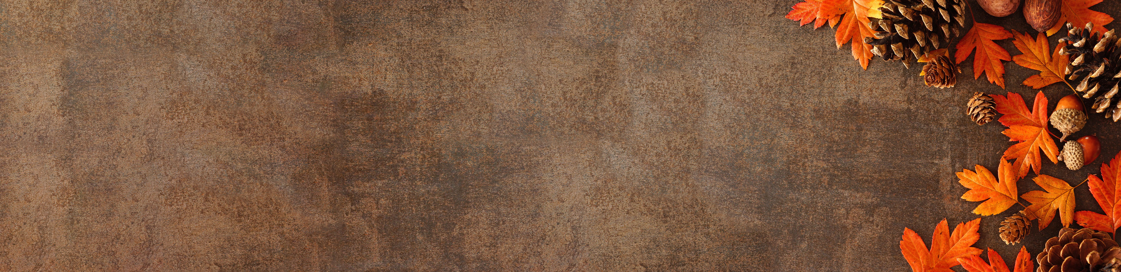 Words on the image: Give Thanks and Referrals!